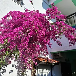 2* Aparthotel Tassos 2